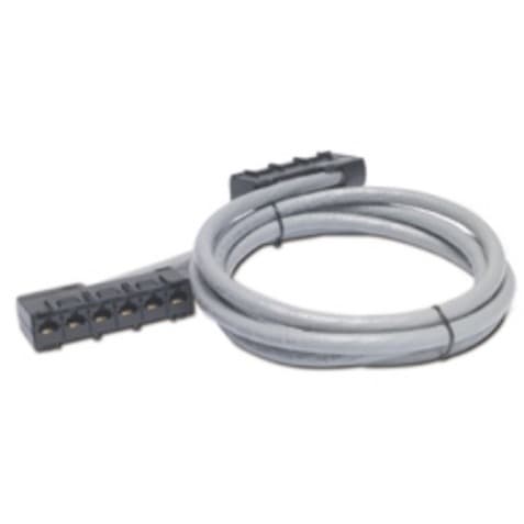 APC DATA DISTRIBUTION CABLE - NETWORK CABLE - RJ-45 (F) - RJ-45 (F) - 29 FT - UT view 1